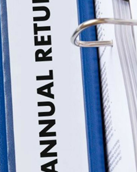 Yam solutions - CIPC Returns